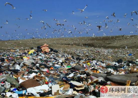 垃圾山上建动物栖息地