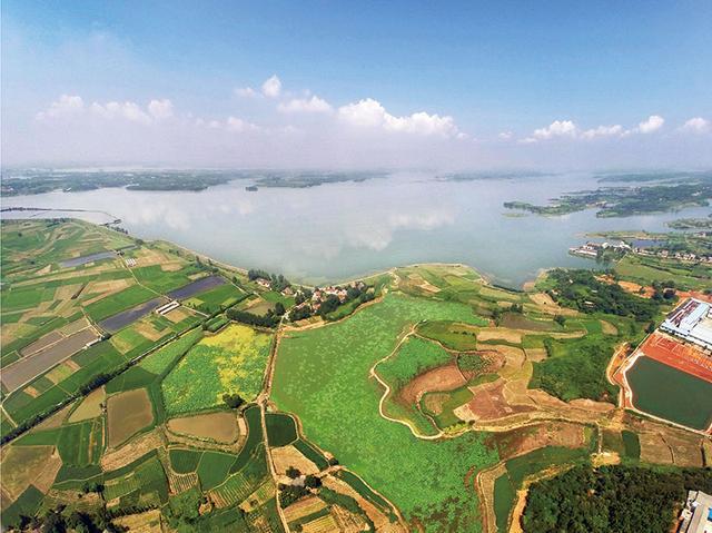 公告2    【湖南省津市市的天然湖泊西毛里湖,是沿湖十几万人的饮用水